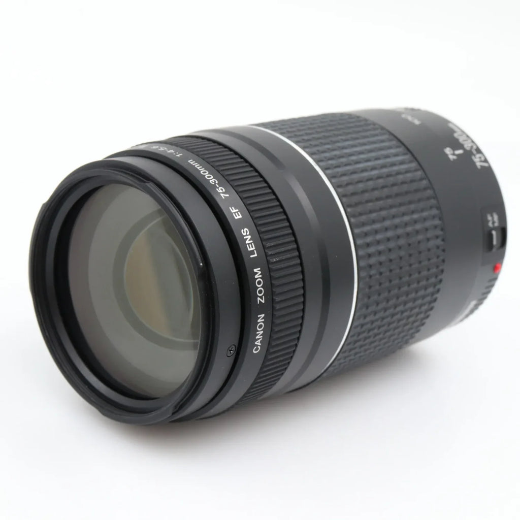 Canon EF 75-300mm f/4-5.6 III gebraucht