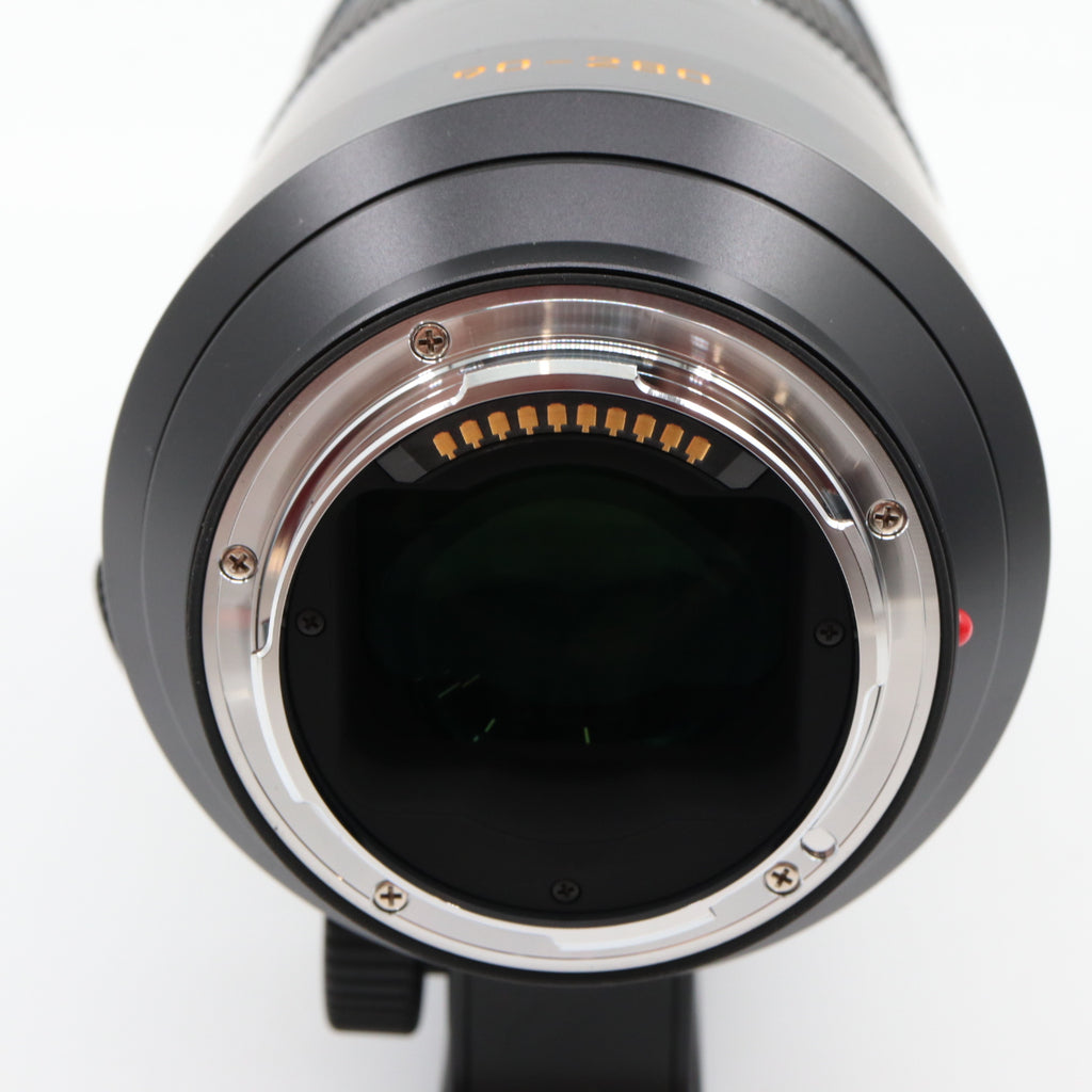 Leica 11175 APO-Vario-Elmarit-SL 90-280mm F/2.8-4 gebraucht