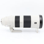 Sony FE 200-600mm F/5.6-6.3 G OSS used