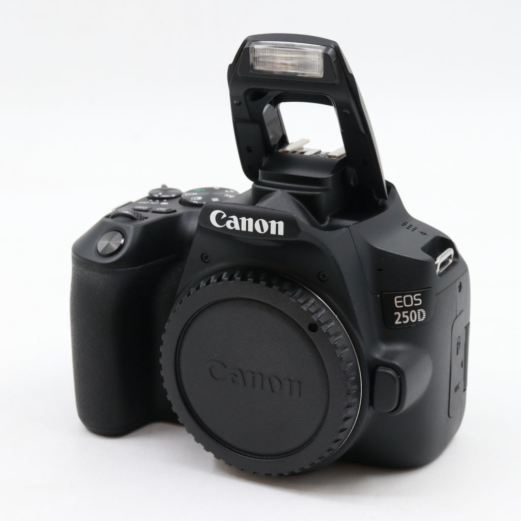 Canon EOS 250D Gehäuse gebraucht