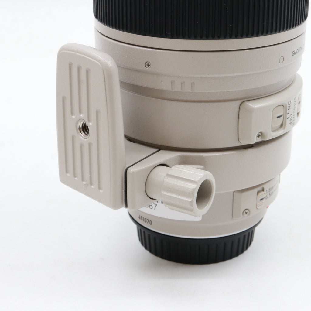 Canon EF 100-400mm f/4.5-5.6 L IS USM (Schiebezoom) gebraucht