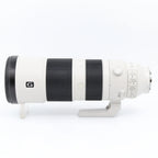 Sony FE 200-600mm F/5.6-6.3 G OSS used