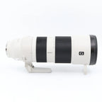 Sony FE 200-600mm F/5.6-6.3 G OSS used