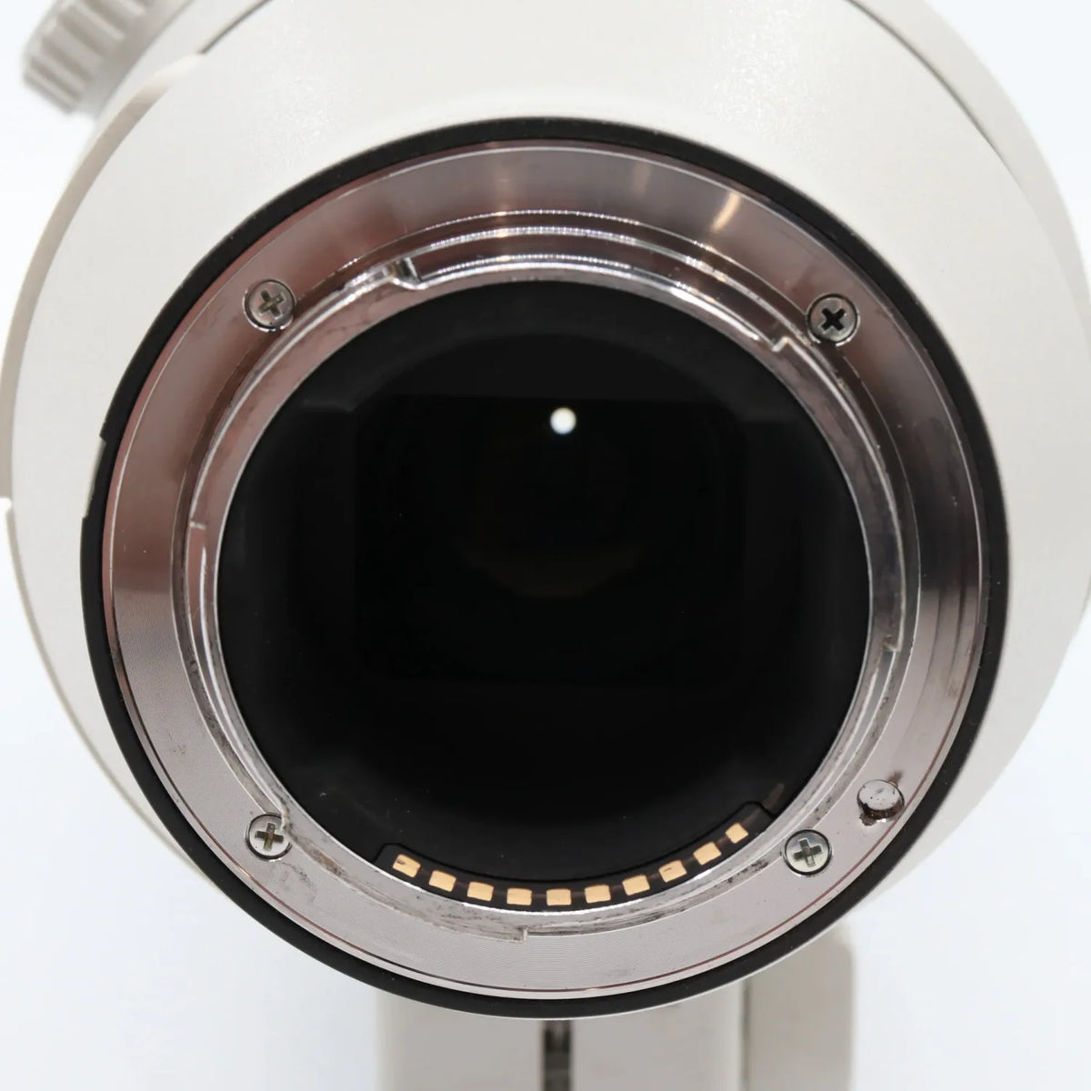 Sony FE 200-600mm F/5.6-6.3 G OSS used