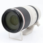 Canon RF 100-500mm f/4.5-7.1 L IS USM used