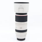 Canon RF 100-500mm f/4.5-7.1 L IS USM used