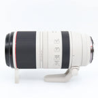 Canon RF 100-500mm f/4.5-7.1 L IS USM used