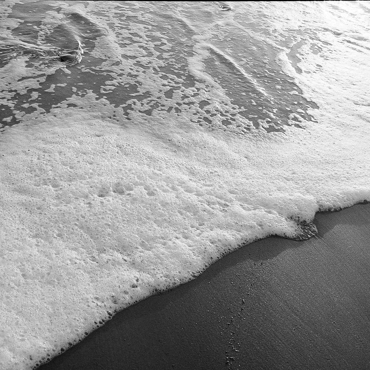 Kodak Tri-X 400 -  35mm x 30.5m (bulk)