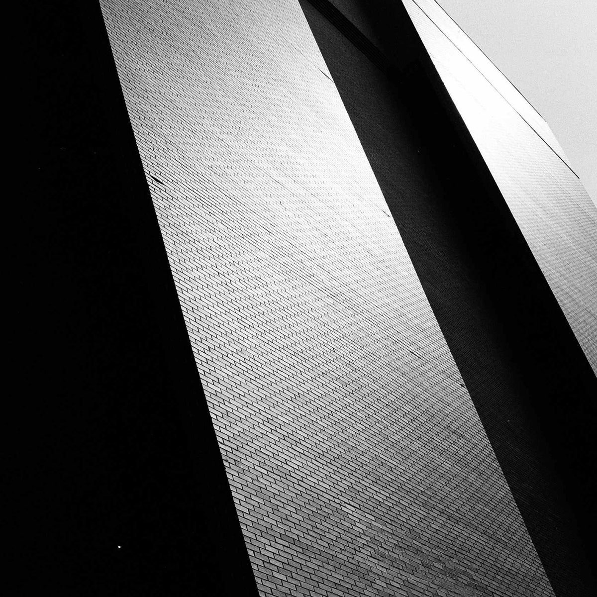 Kodak Tri-X 400 -  35mm x 30.5m (bulk)