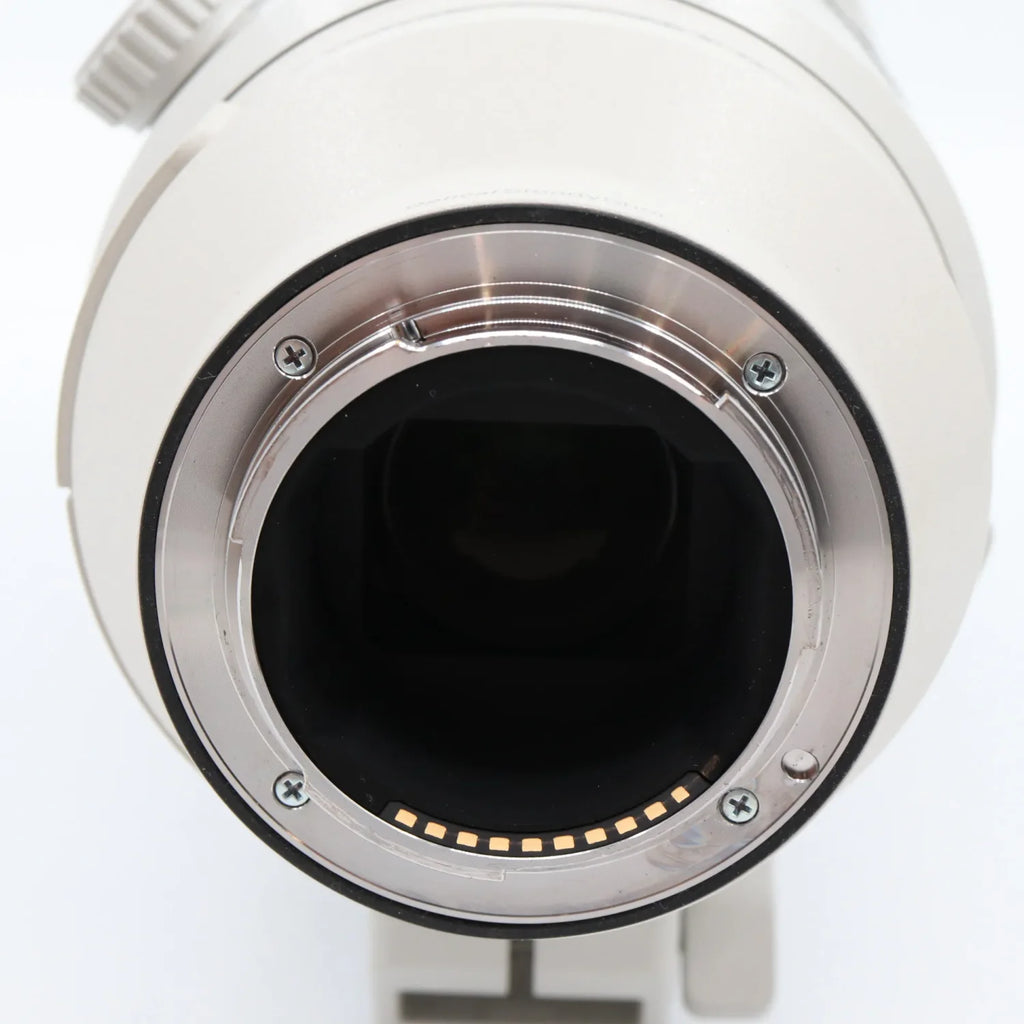 Sony FE 200-600mm f/5.6-6.3 G OSS used