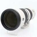 Sony FE 200-600mm f/5.6-6.3 G OSS used