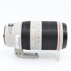 Canon EF 100-400mm f/4.5-5.6 L IS USM II (rotating zoom) used