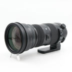Sigma 150-600mm f/5-6.3 DG OS HSM Sports Canon gebraucht