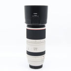 Canon RF 100-500mm F/4.5-7.1 L IS USM used