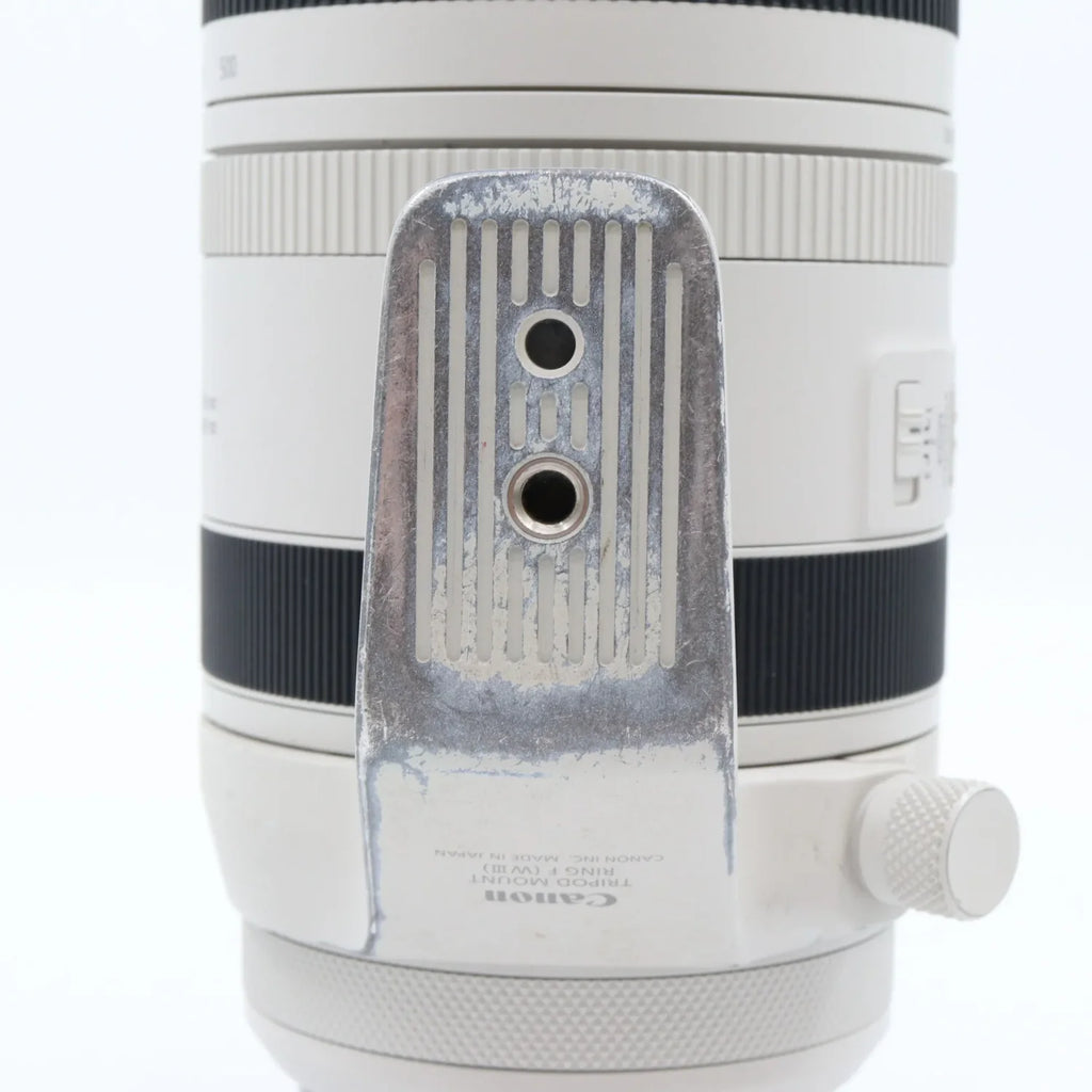 Canon RF 100-500mm F/4.5-7.1 L IS USM used