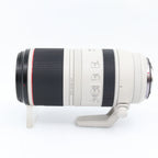 Canon RF 100-500mm F/4.5-7.1 L IS USM used