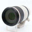 Canon RF 100-500mm F/4.5-7.1 L IS USM used
