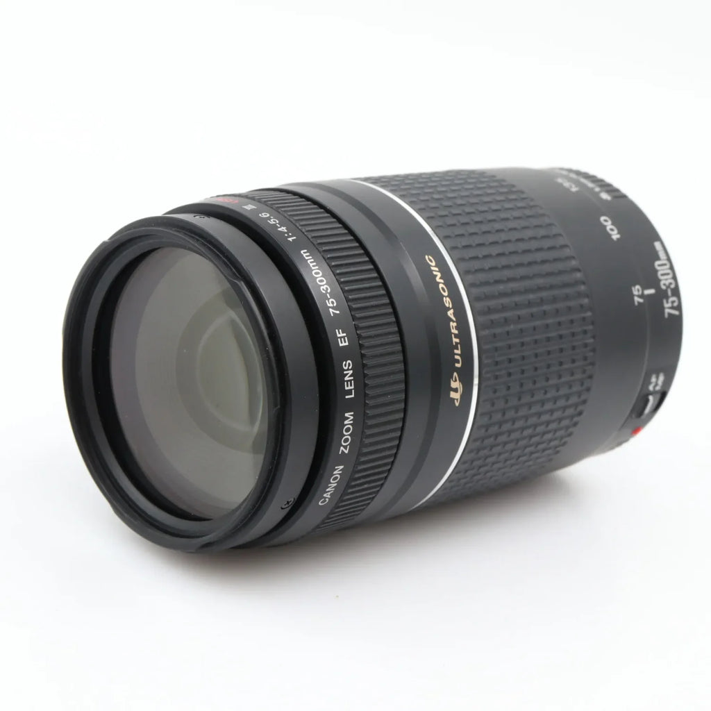 Canon EF 75-300mm f/4-5.6 USM III gebraucht