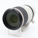 Canon RF 100-500mm f/4.5-7.1 L IS USM used