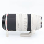 Canon RF 100-500mm f/4.5-7.1 L IS USM used