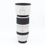 Canon RF 100-500mm f/4.5-7.1 L IS USM used