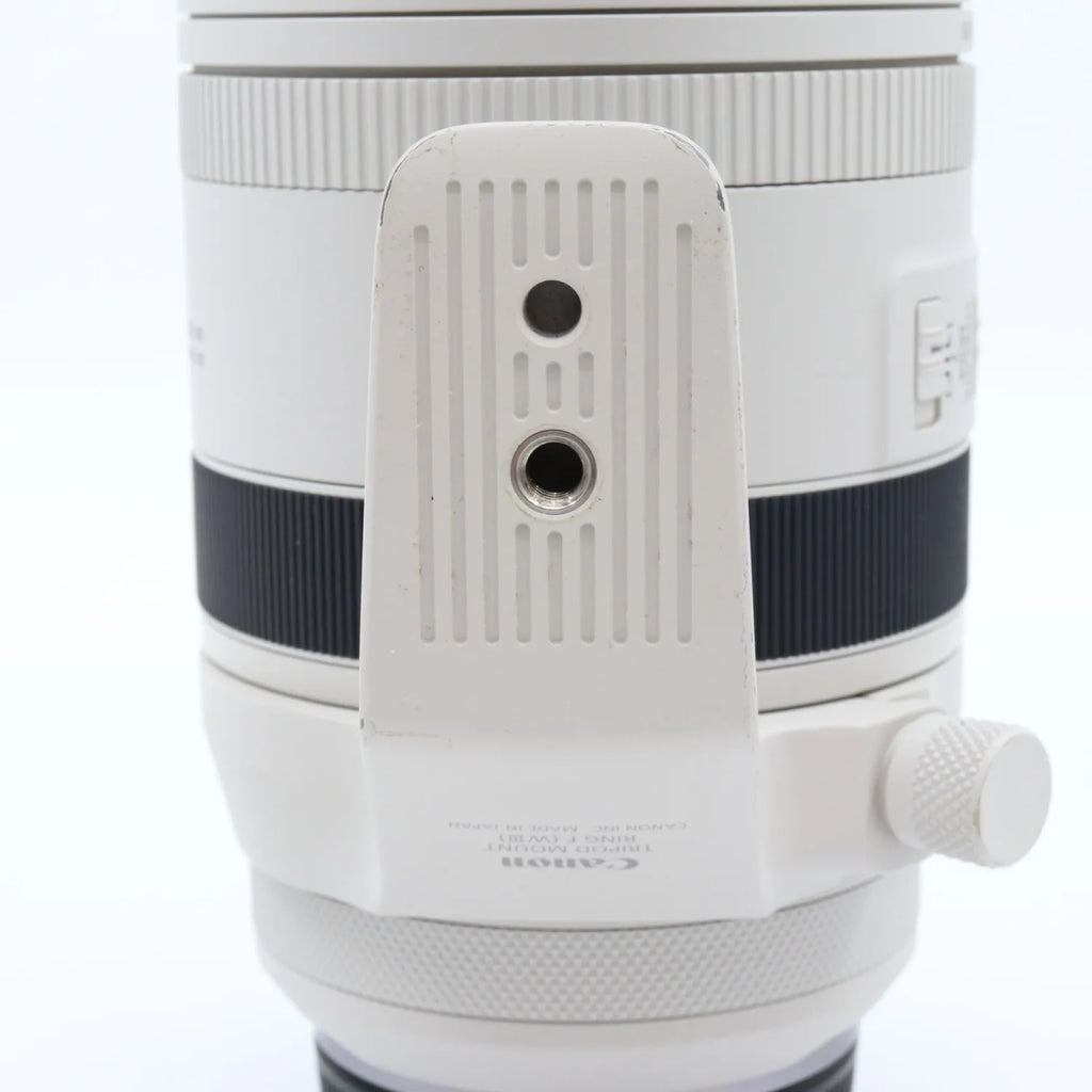 Canon RF 100-500mm f/4.5-7.1 L IS USM used
