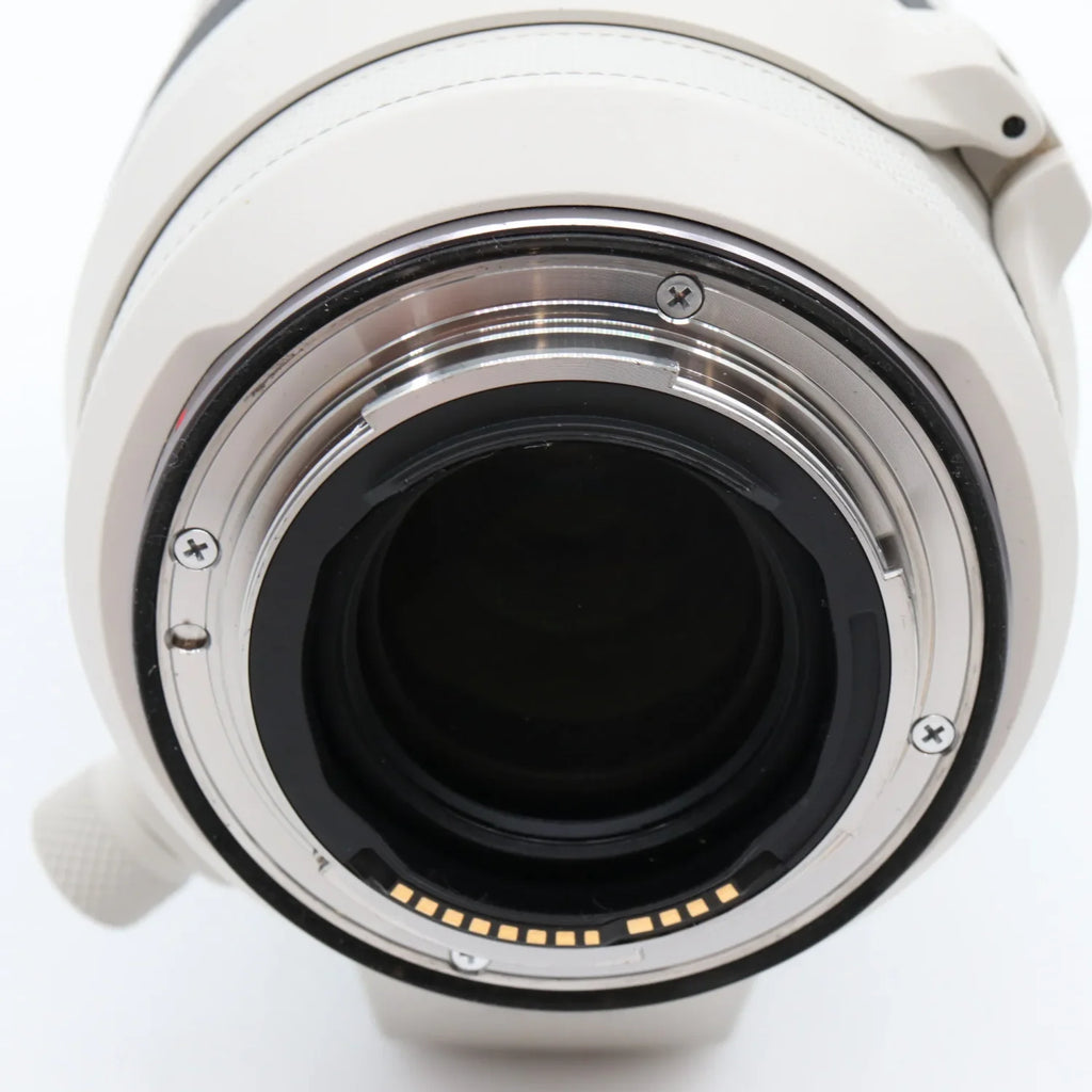 Canon RF 100-500mm f/4.5-7.1 L IS USM used