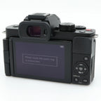 Panasonic Lumix DC-G100D + G Vario 12-32mm f/3.5-5.6 ASPH. Mega OIS used