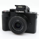 Panasonic Lumix DC-G100D + G Vario 12-32mm f/3.5-5.6 ASPH. Mega OIS used