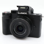 Panasonic Lumix DC-G100D + G Vario 12-32mm f/3.5-5.6 ASPH. Mega OIS used