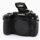 Panasonic Lumix DC-G90 body used
